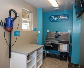 Pet wash station